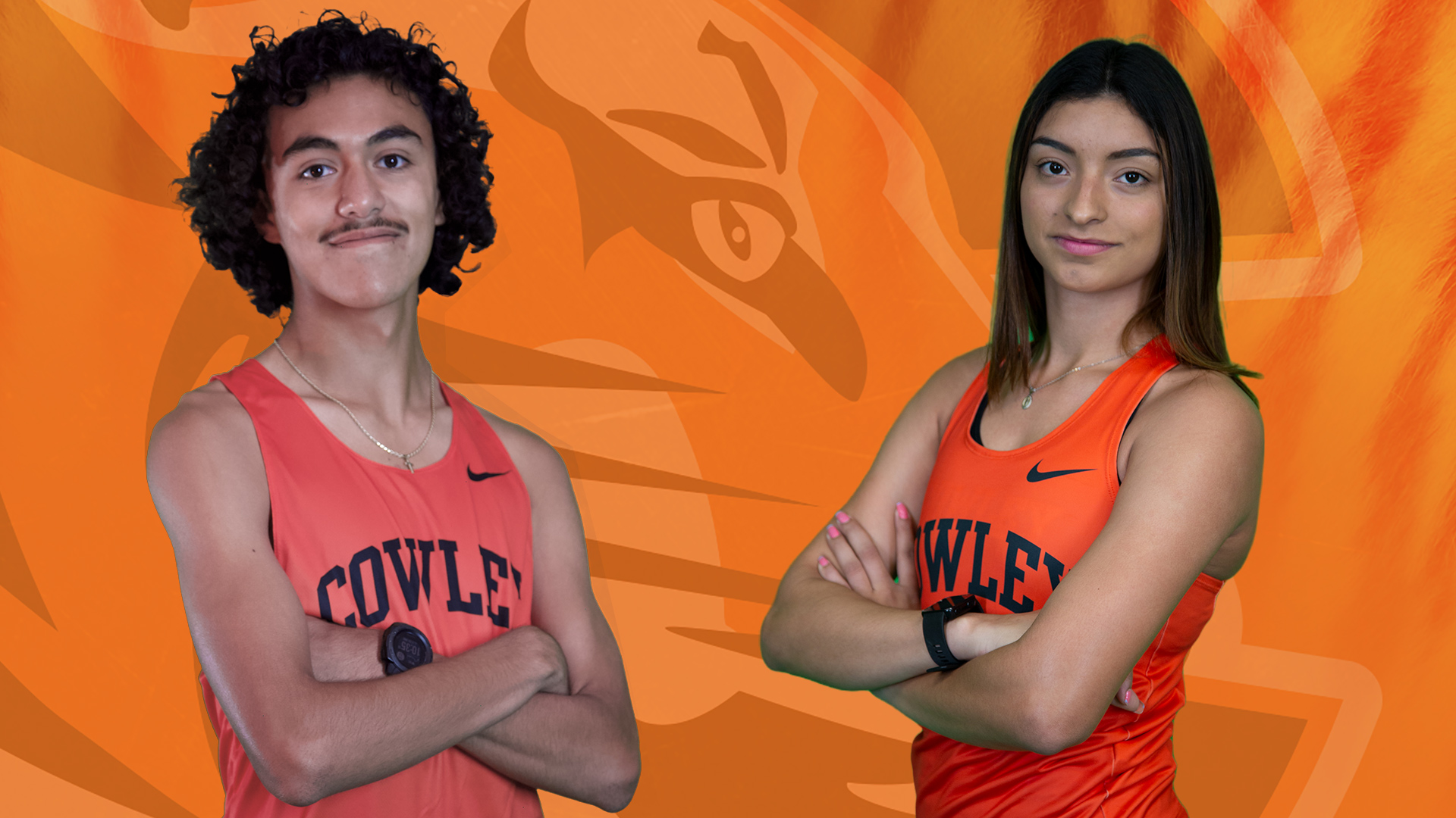 Tiger cross country runners compete at the University of Missouri