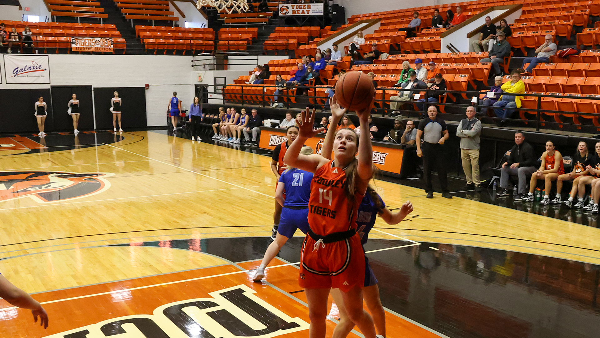 Lady Tiger basketball team opens with three straight home wins