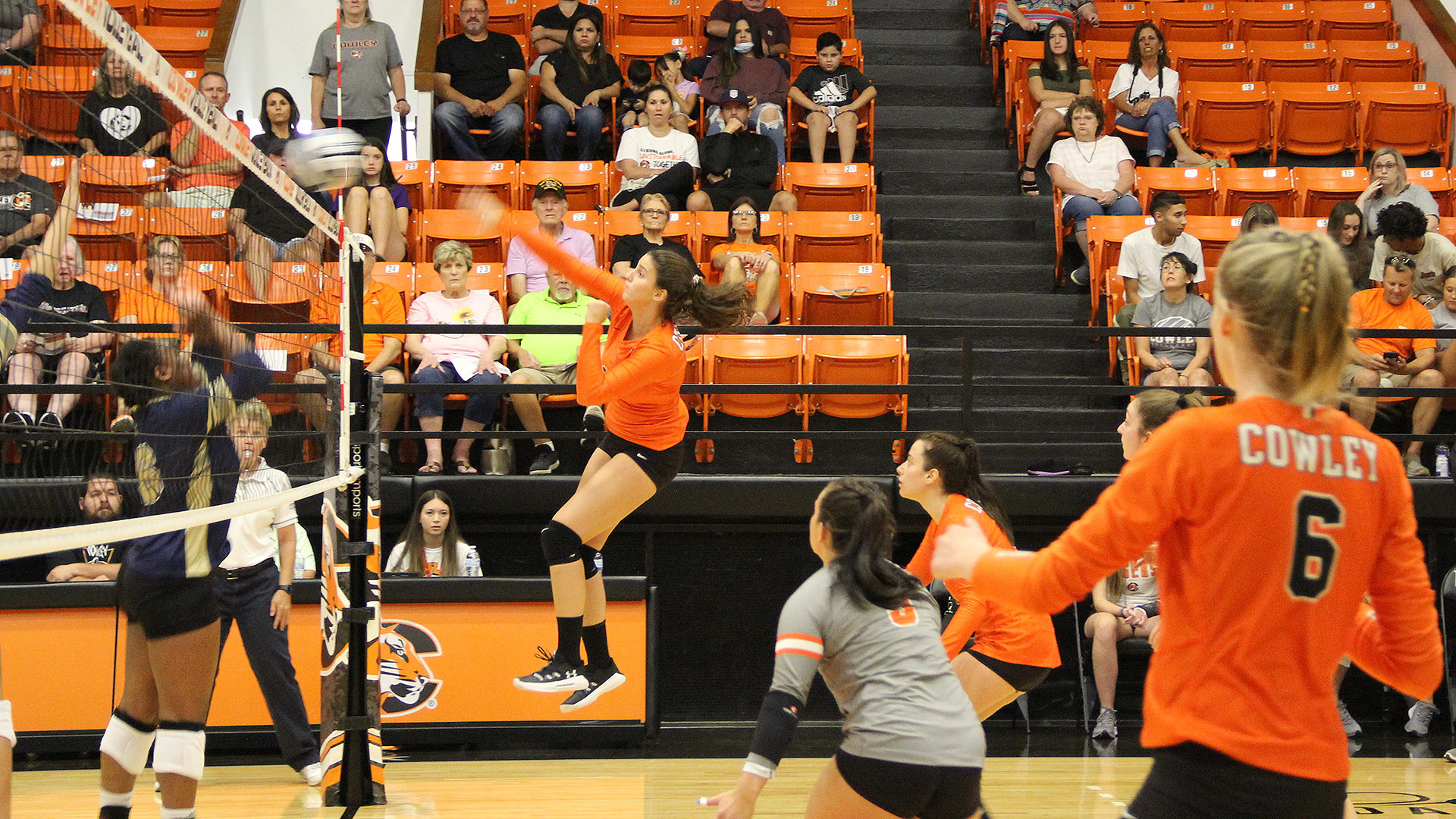 Lady Tiger volleyball makes easy work of opponents