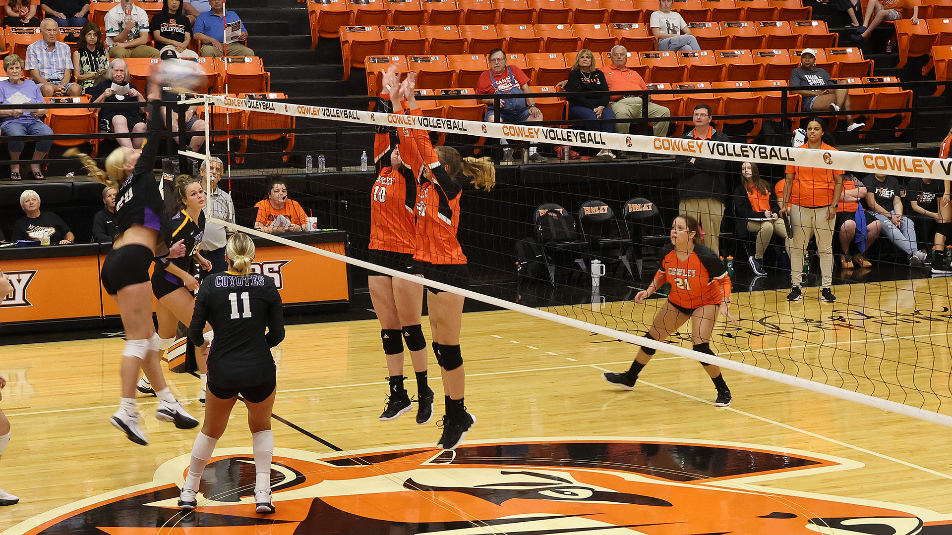 Lady Tiger volleyball team makes it back-to-back home wins 
