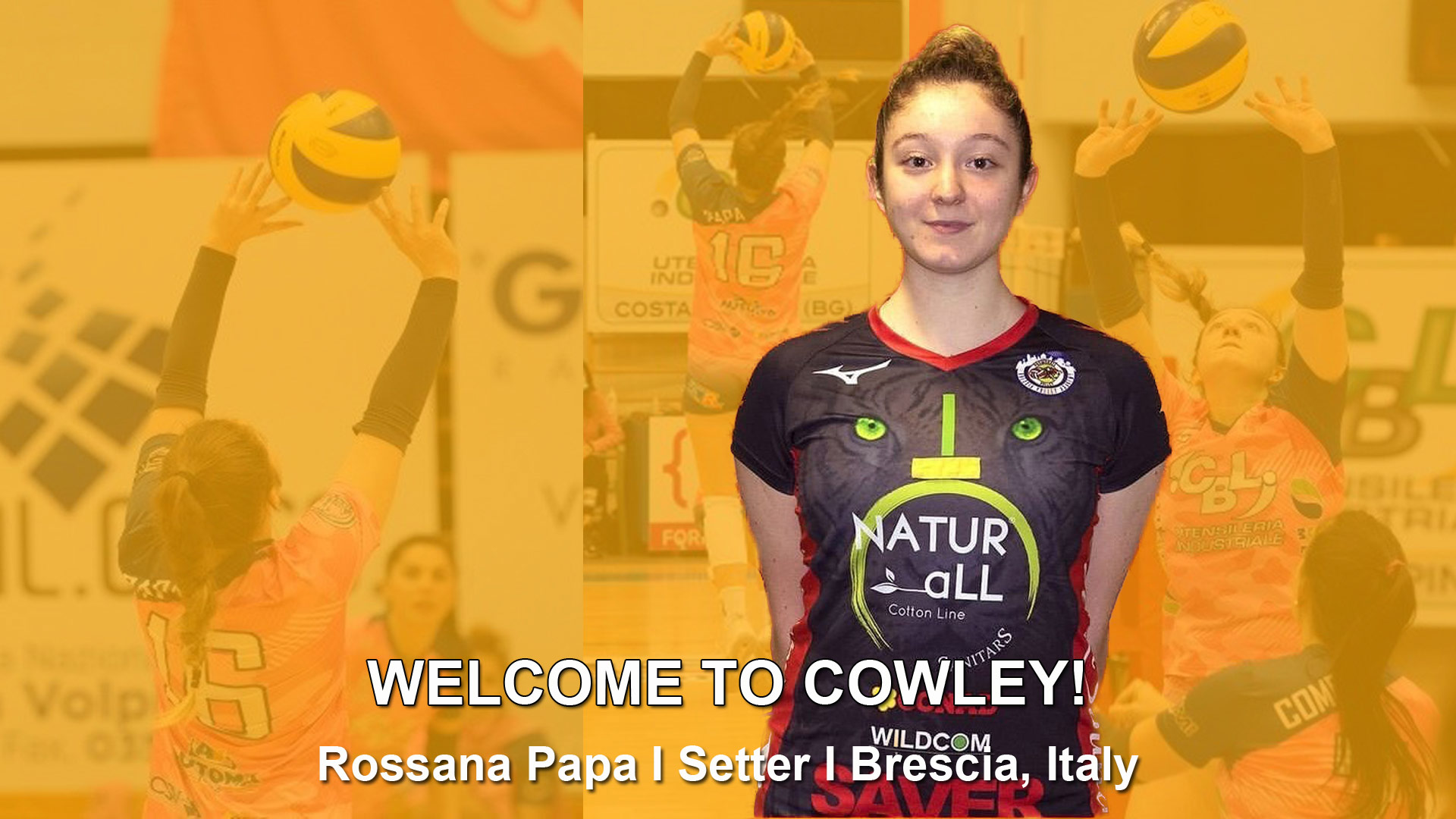 Lady Tiger volleyball program signs Italian standout