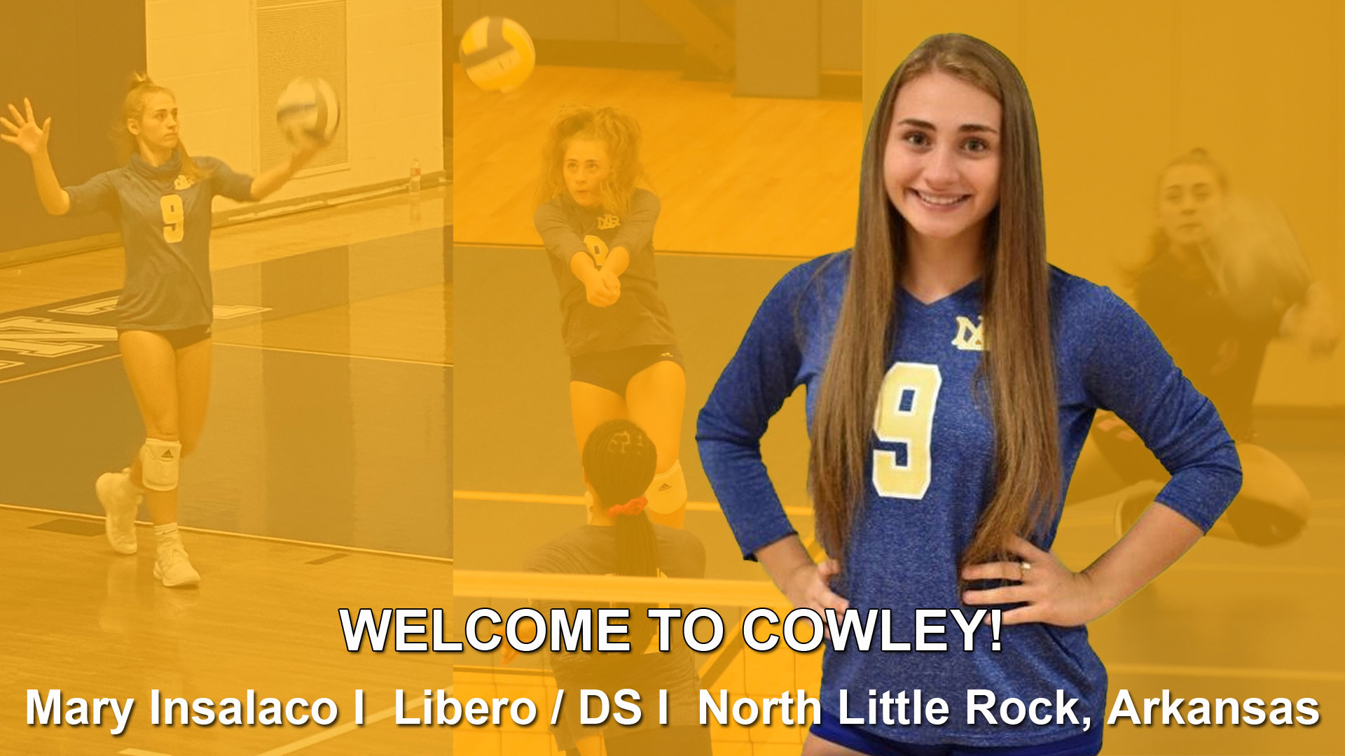 Volleyball signs Mary Insalaco, North Little Rock High School standout